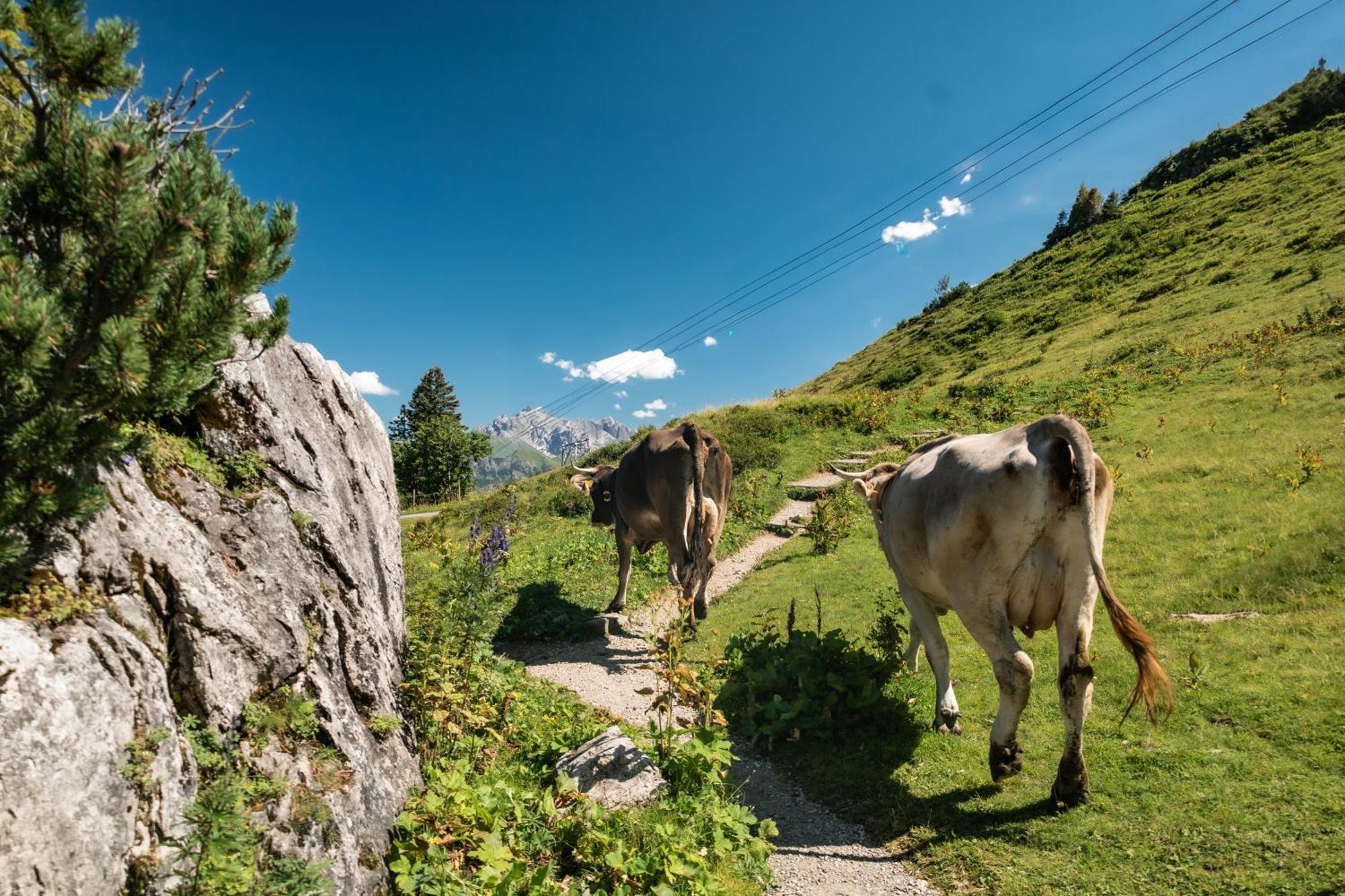 Ferienhaus Geiger Oberstdorf Exterior foto